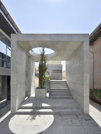 Payagene accelerator Co.