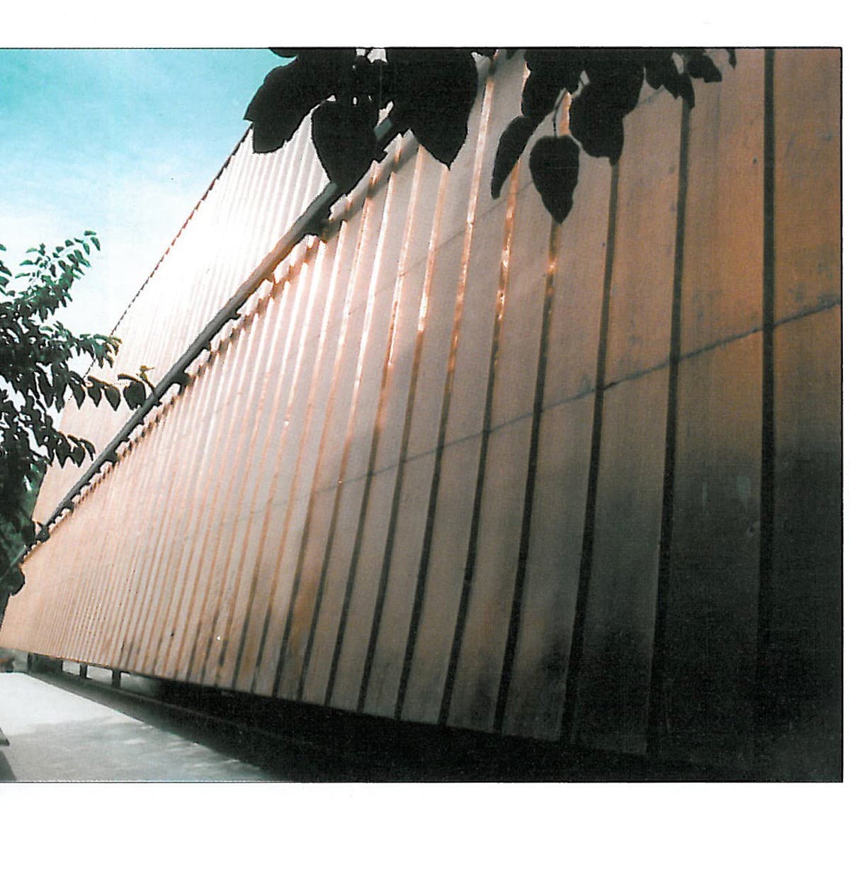 Multipurpose Club, Zaferanieh